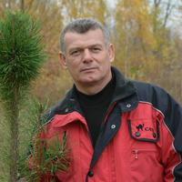 Отзыв от Родион - DTV виза